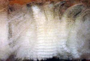 flank wool
